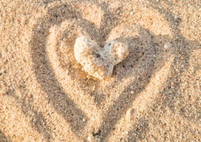 svobodné online podnikání